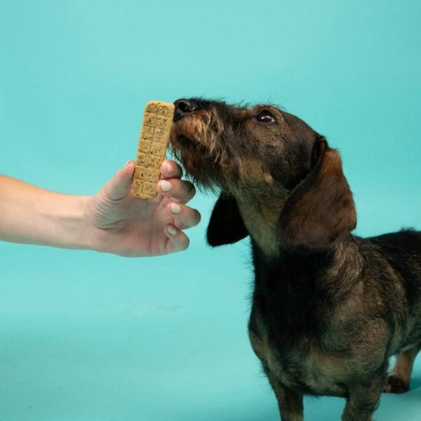 Edgard&Cooper Strips Strisce di Tacchino e Pollo Snack per Cani 75g