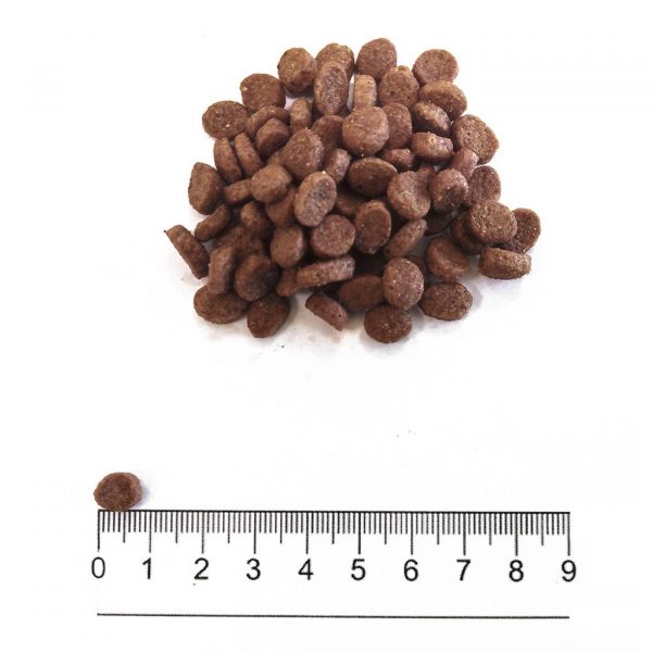Prolife® Sensitive Adult Mini Maiale e Riso per Cani - Forma e Dimensione Crocchetta