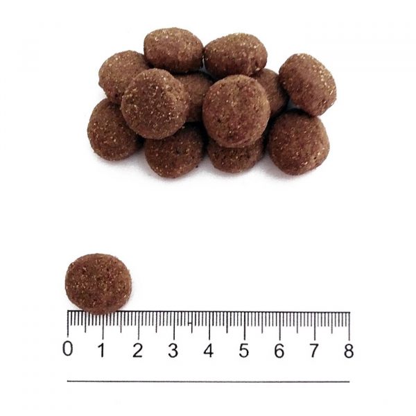 Prolife® Sensitive Adult Medium/Large Maiale e Riso per Cani - Forma e Dimensione Crocchetta
