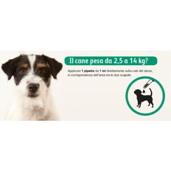 exspot® spot on antiparassitario per cani