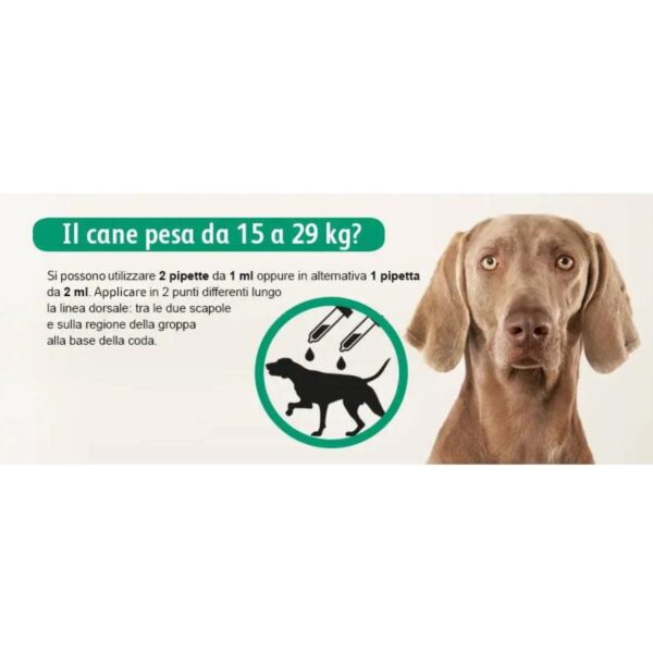 exspot® spot on antiparassitario per cani