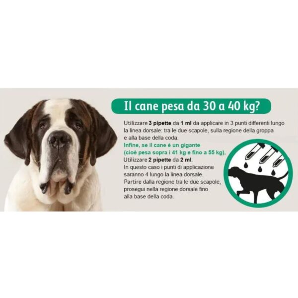 exspot® spot on antiparassitario per cani