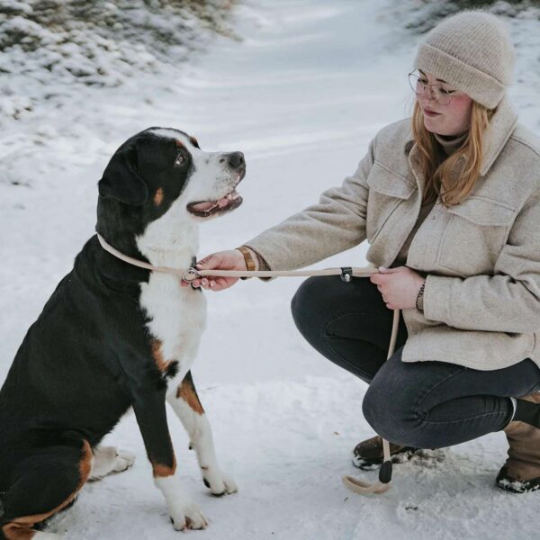 Hunter Guinzaglio Retriever Freestyle per Cani 8/170