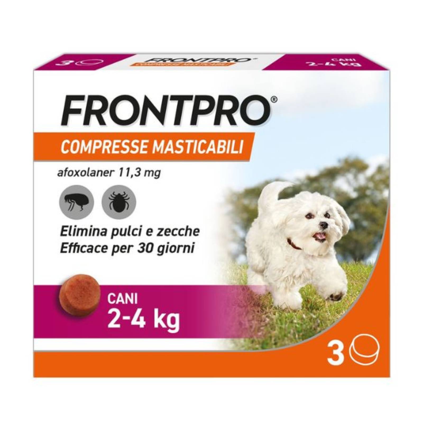 Neudorff Xentari: Insetticida Biologico In Polvere Per Bruchi Su Piante Ornamentali, Frutta E Verdura, Innocuo Per Le Api