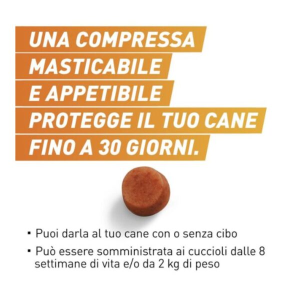 Frontline Frontpro® 3 Compresse Masticabili Antiparassitarie Pulci e Zecche per Cani