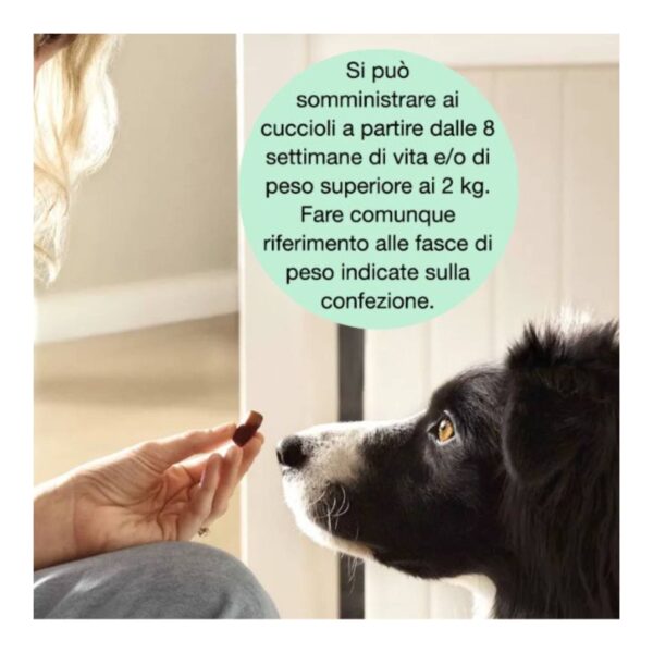 Frontline Frontpro® 3 Compresse Masticabili Antiparassitarie Pulci e Zecche per Cani