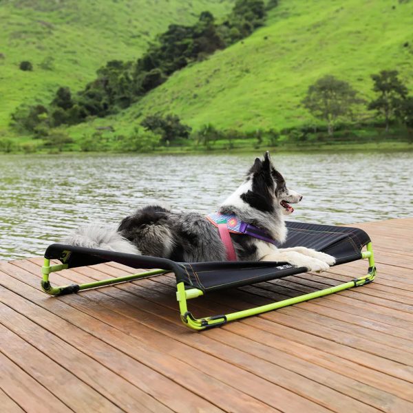 Zee.Dog Brandina Cuccia Air.Bed Nera