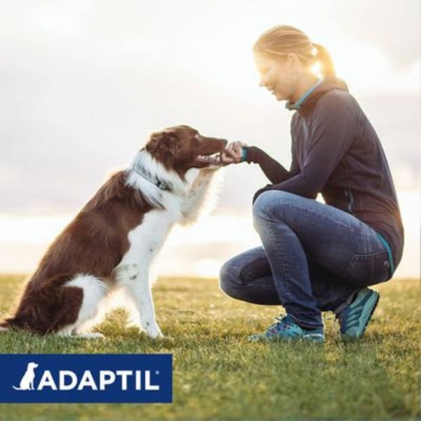 Adaptil Calm Collare per Cani