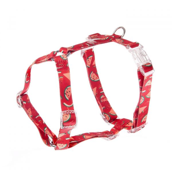 Ferribiella Pettorina H Motif Watermelon per Cani