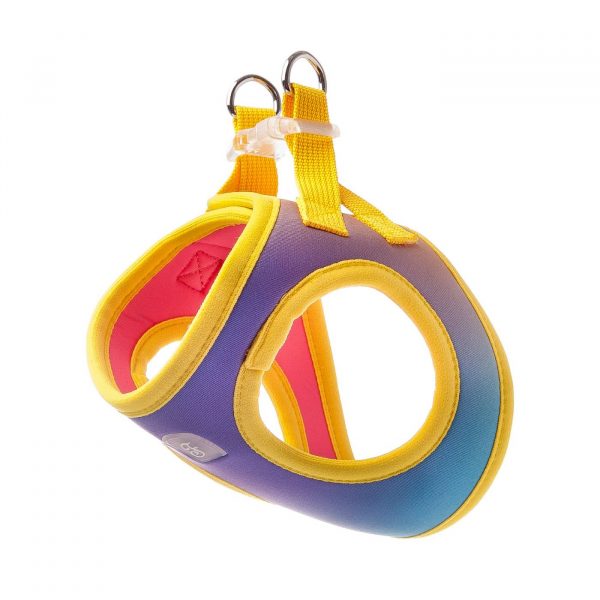 Ferribiella Pettorina Motif Rainbow per Cani - Doppio anello
