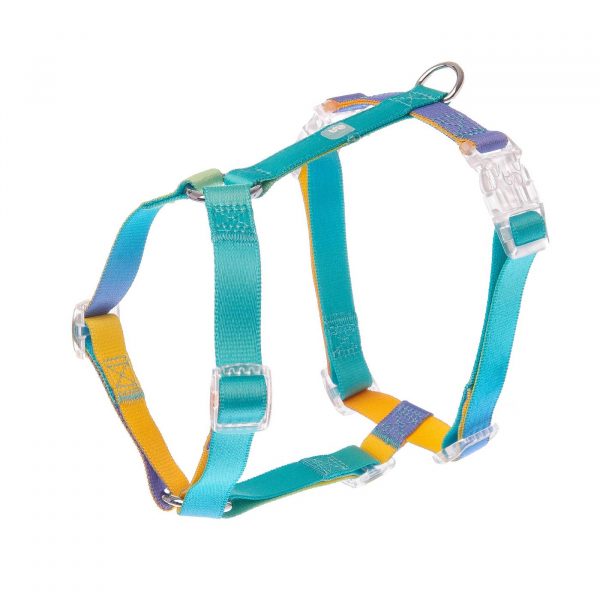 Ferribiella Pettorina H Motif Rainbow per Cani