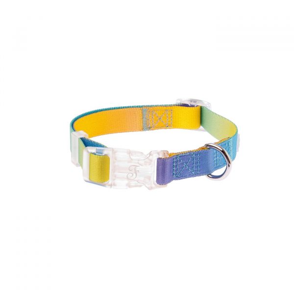 Ferribiella Collare Regolabile Motif Rainbow per Cani - Gancio in plastica Apertura/chiusura