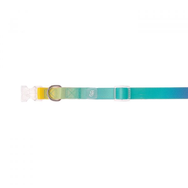Ferribiella Collare Regolabile Motif Rainbow per Cani