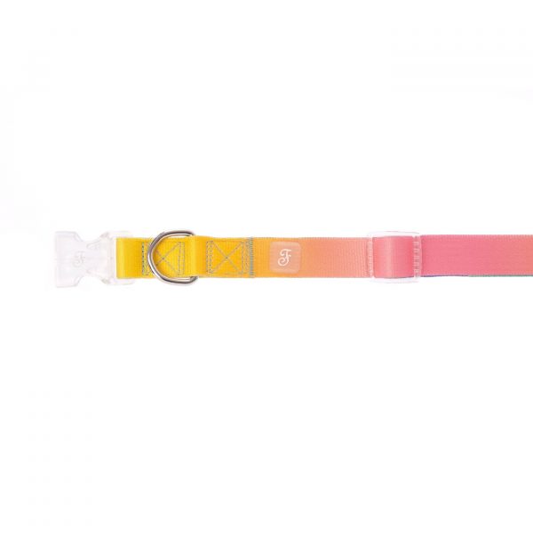 Ferribiella Collare Regolabile Motif Rainbow per Cani