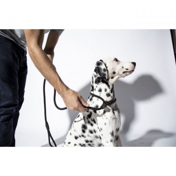 Zee.Dog Guinzaglio Retriever Gotham per Cani