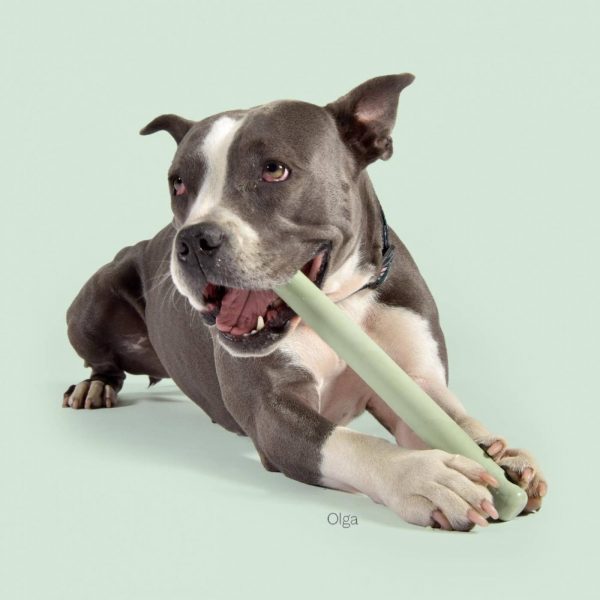 United Pets Mr. Branch Gioco in Gomma per Cani