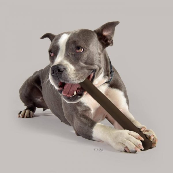 United Pets Mr. Branch Gioco in Gomma per Cani