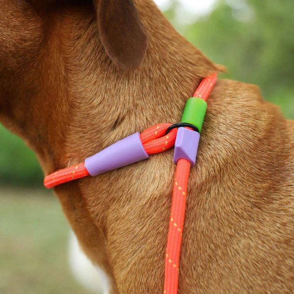 Zee.Dog Guinzaglio Retriever Everest per Cani