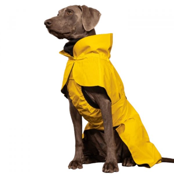 Paikka Impermeabile ad Alta Visibilità per Cani Lite Giallo
