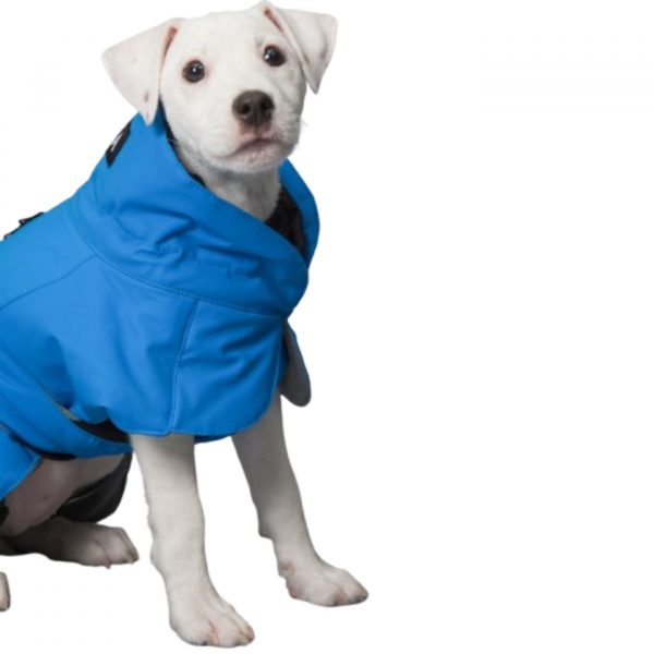 Paikka Giacca Invernale ad Alta Visibilità per Cani Indaco