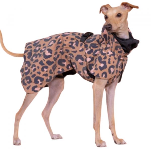 Paikka Impermeabile ad Alta Visibilità per Cani Lite Leo