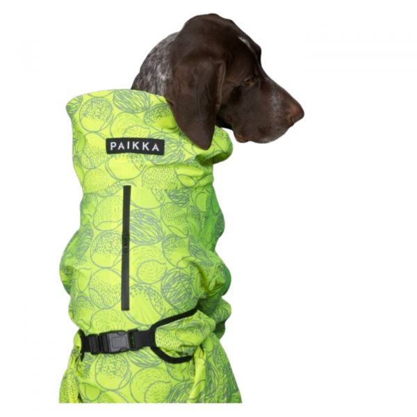 Paikka Impermeabile Lungo per Cani Neon
