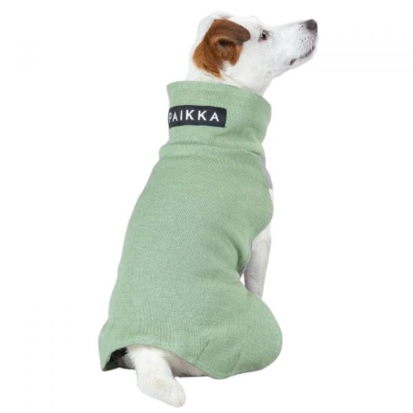 Paikka Tuta Invernale per Cani in Tessuto Recovery Verde Salvia
