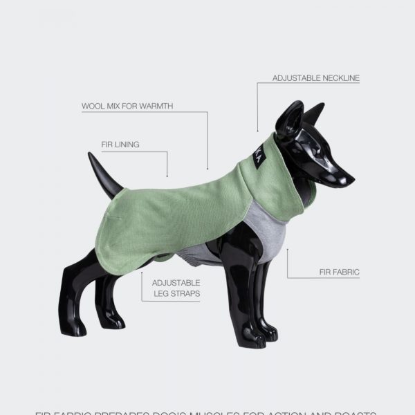 Paikka Maglietta in Tessuto Recovery per Cani Verde Salvia