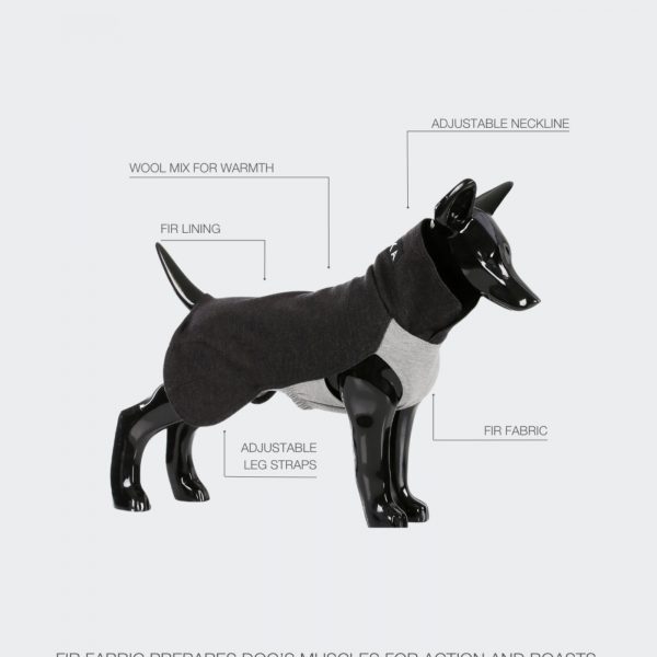Paikka Maglia Invernale per Cani in Tessuto Recovery Grigio