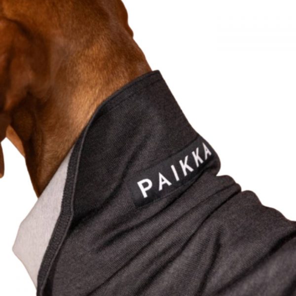 Paikka Maglia Invernale per Cani in Tessuto Recovery Grigio