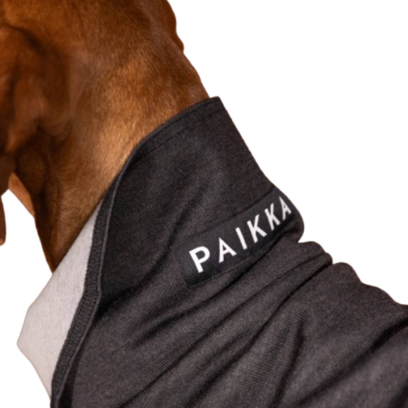 Paikka Maglia Invernale per Cani in Tessuto Recovery Grigio
