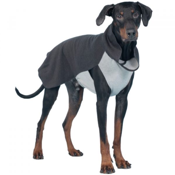 Paikka Maglia Invernale per Cani in Tessuto Recovery Grigio