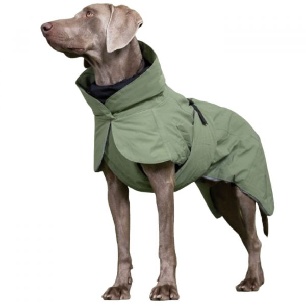 Paikka Giacca Invernale ad Alta Visibilità per Cani Verde