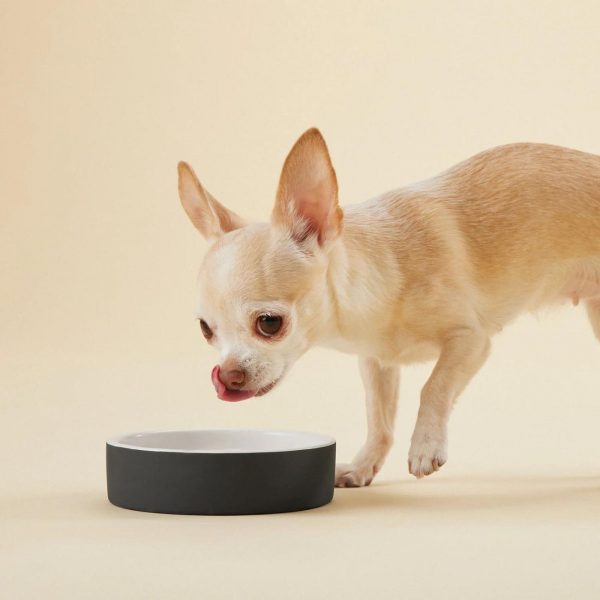 Paikka Ciotola Slow Feed in Ceramica Nera M Ø 15 cm per Cani