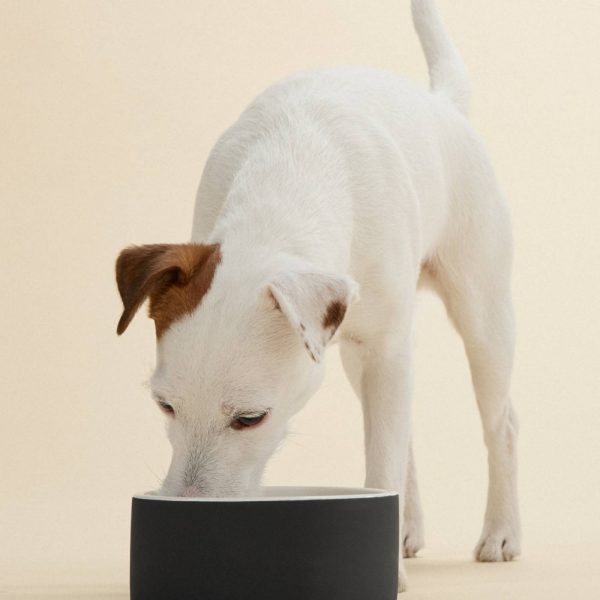 Paikka Ciotola Slow Feed in Ceramica Nera M Ø 15 cm per Cani