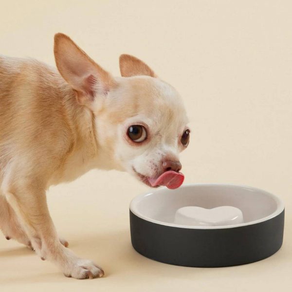Paikka Ciotola Slow Feed in Ceramica Nera XS Ø 13 cm per Cani di Piccola Taglia