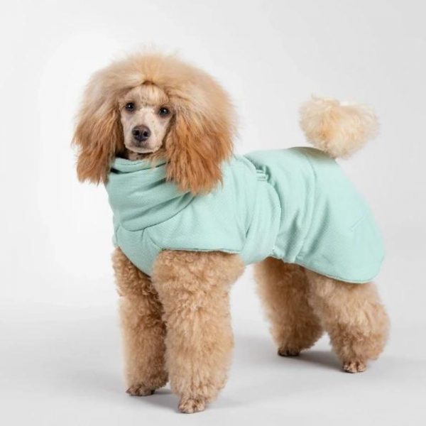 Paikka Accappatoio per Cani 2Go Verde Salvia