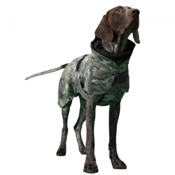 Paikka Impermeabile ad Alta Visibilità Tessuto Recovery per Cani Camo