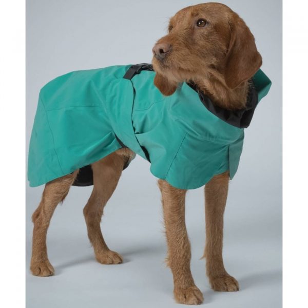 Paikka Impermeabile ad Alta Visibilità Imbottito Lana per Cani Smeraldo