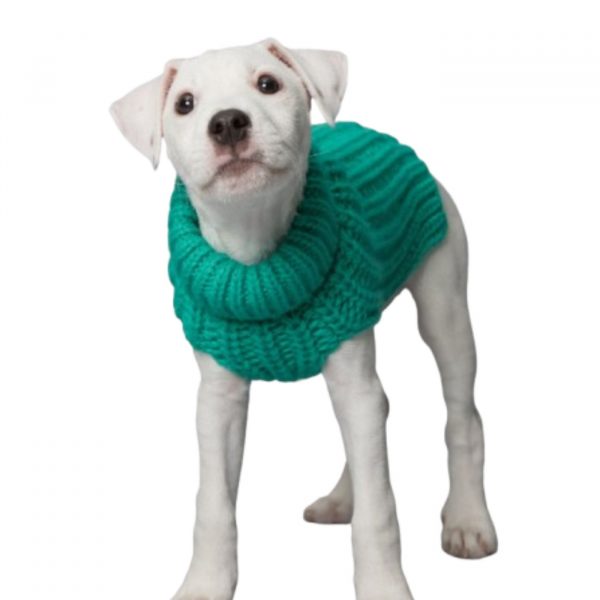 Paikka Pullover A Maglia Realizzato a Mano per Cani Verde Smeraldo