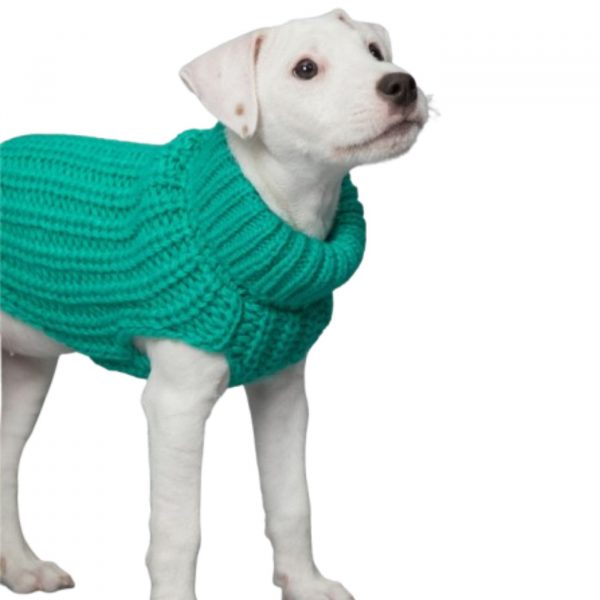 Paikka Pullover A Maglia Realizzato a Mano per Cani Verde Smeraldo