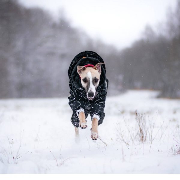 Paikka Giacca Invernale Lunga ad Alta Visibilità per Cani Nero