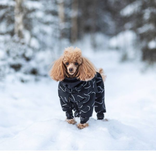 Paikka Giacca Invernale Lunga ad Alta Visibilità per Cani Nero