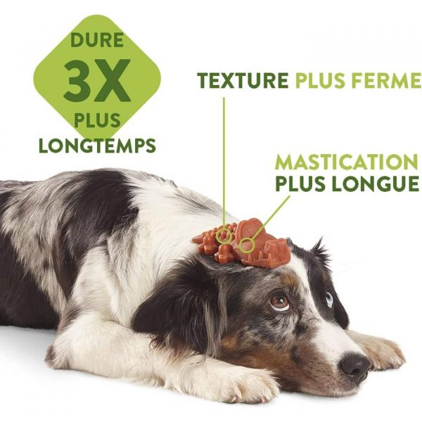 Whimzees Snack Dentale Naturale Osso di Riso per Cani Ricebone L 18-27 Kg 9 pezzi