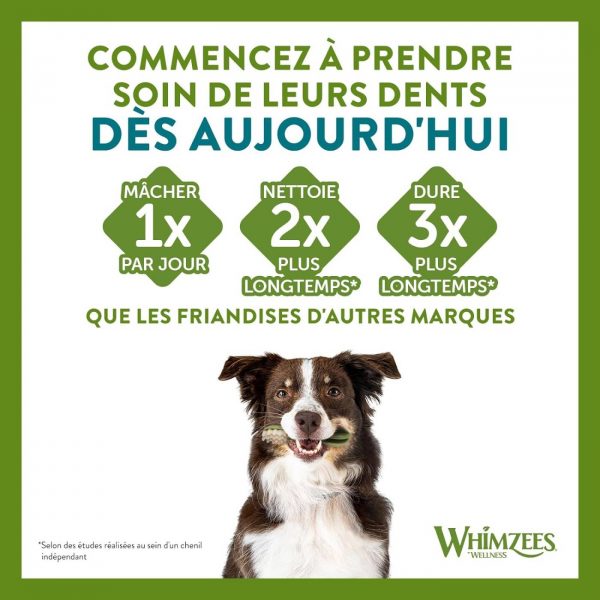 Whimzees Snack Dentale Naturale Spazzolino per Cani Toothbrush