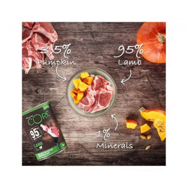 Wellness Core Alimento Umido Completo per Cani Can95% Agnello con Zucca 400 g