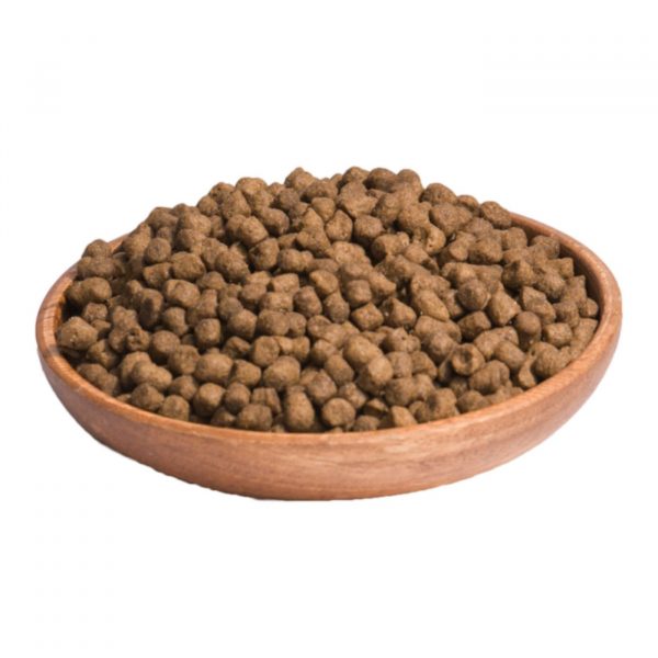 Wellness Core Cat Sterilised Ocean Salmone per Gatti Adulti Sterilizzati 300 Gr.