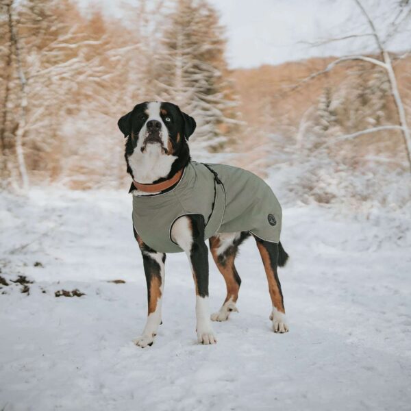 Hunter Cappottino per Cani Uppsala Khaki Verde
