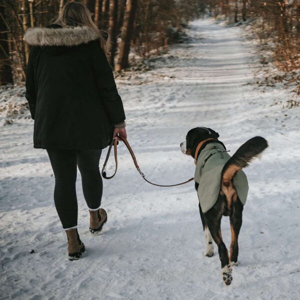 Hunter Cappottino per Cani Uppsala Khaki Verde