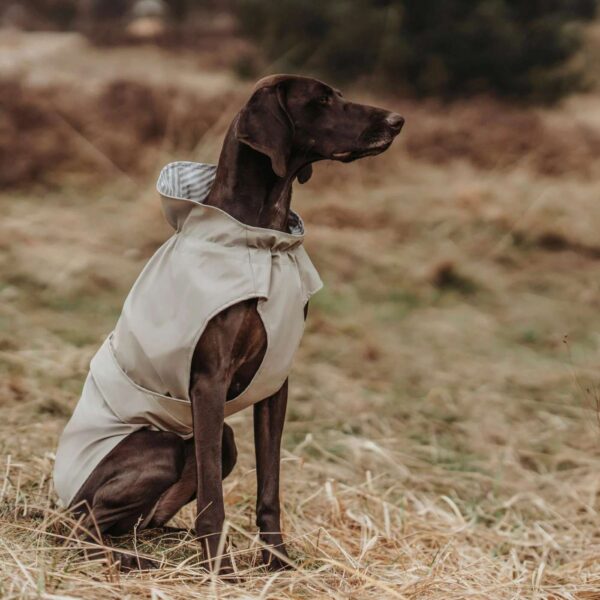 Hunter Impermeabile per Cani Milford Beige Taupe
